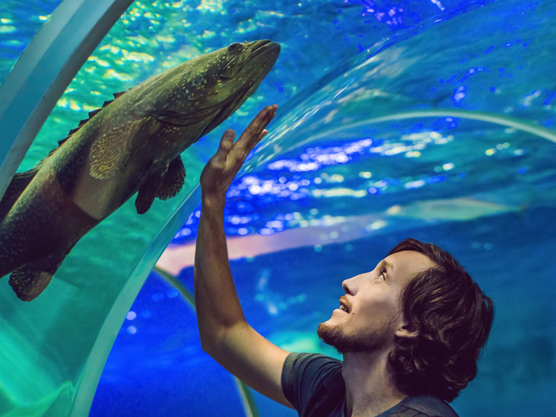 waterbehandeling aquacultuur en commerciële aquaria